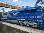 RUMO 9598
